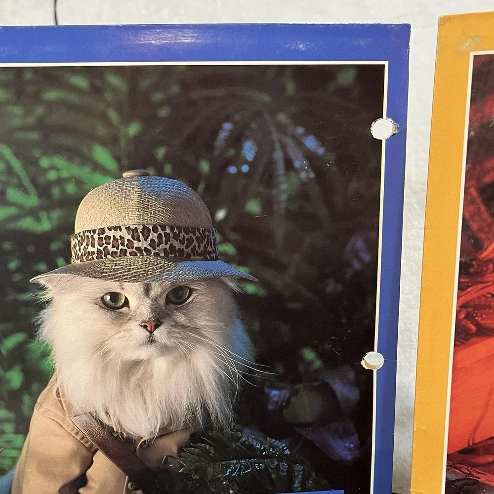 Vintage Cat Folders Stuart Hall 1993 Kittens Animal School Supplies 90s Retro